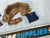 1985 VINTAGE ARAH G.I. JOE COBRA RIFLE RANGE UNIT BATTLEFIELD ACCESSORIES LOOSE 100% COMPLETE (e)