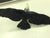 2008 25TH ANNIVERSARY SPIRIT IRON-KNIFE V3 FREEDOM EAGLE ANIMAL ACCESSORY PART CUSTOMS FLAW